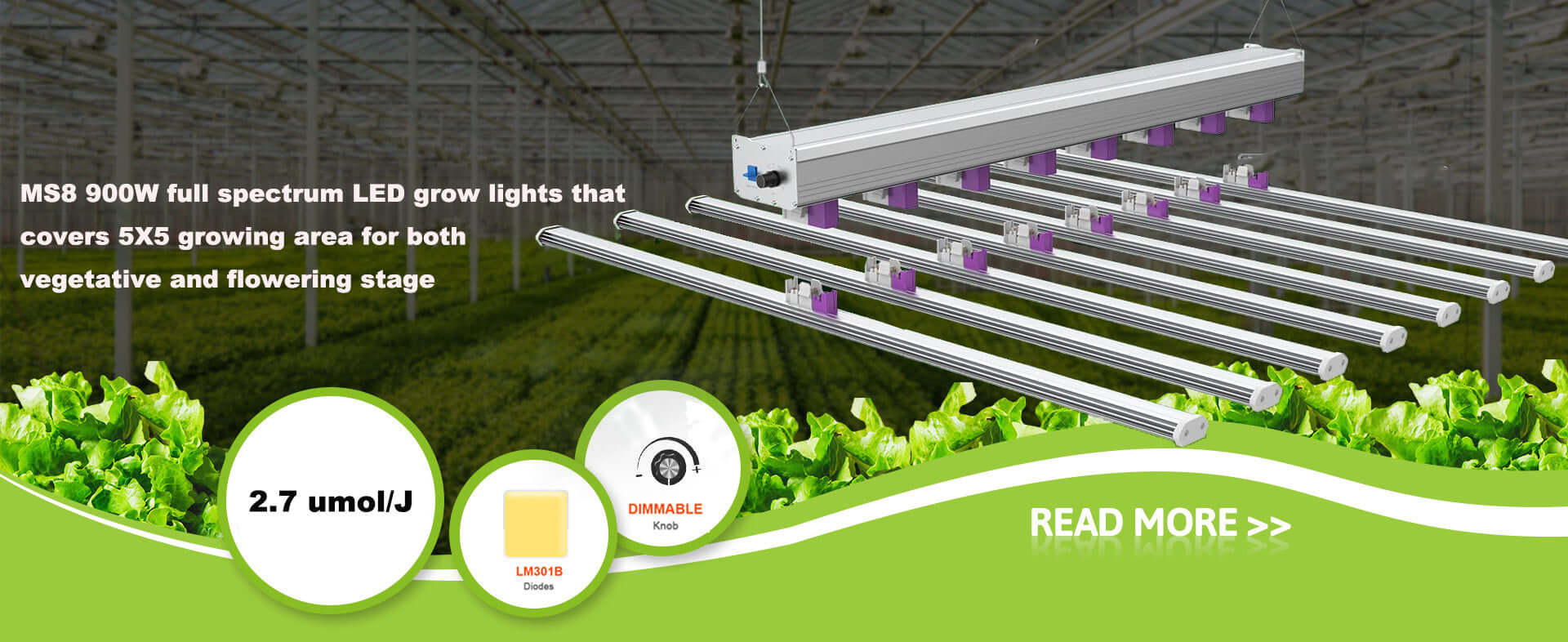 MS8-1000W-LED-GROW-LIGHT-BANNER | ECO Farm