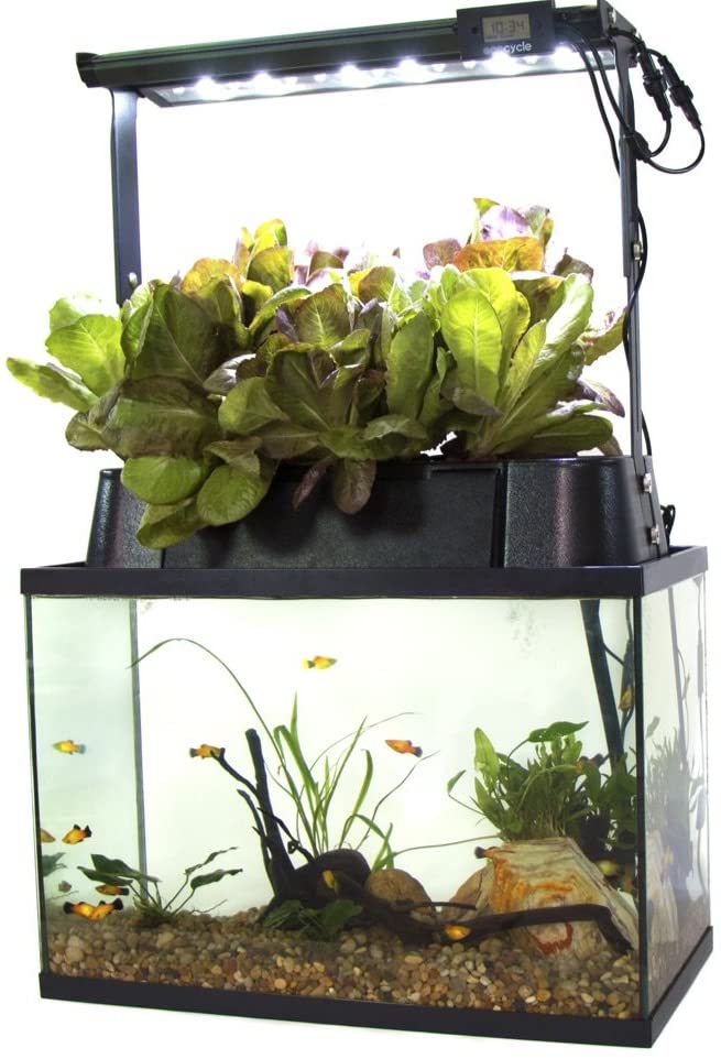 Ecolife ECO-Cycle Aquaponics Indoor Garden System