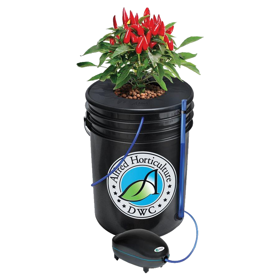 LED Hydro Complete Starter Grow Kits for 1 Plant