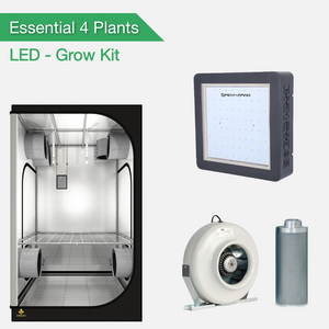 Essential 4 Plants Grow Kit - LED