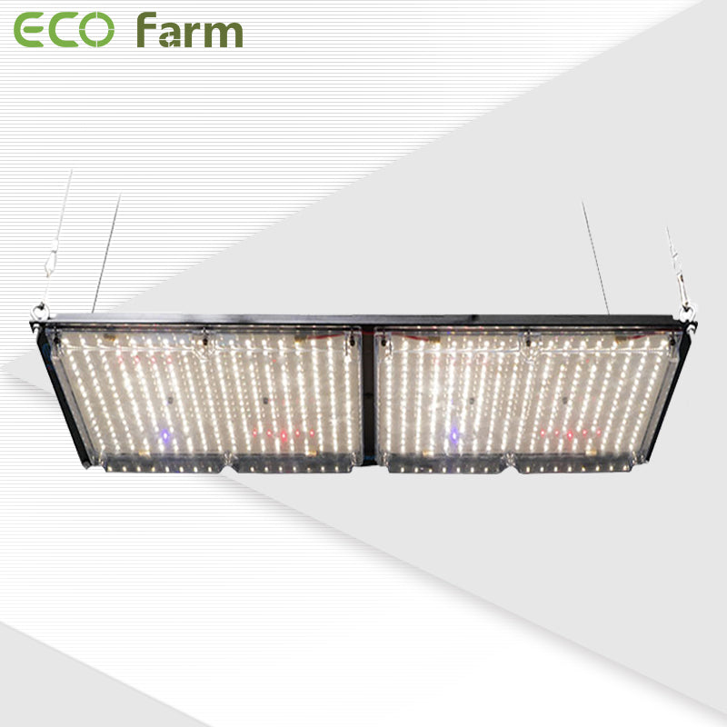 ECO Farm 240W/320W/480W LM301B/LM301H UV IR Quantum Board-growpackage.com