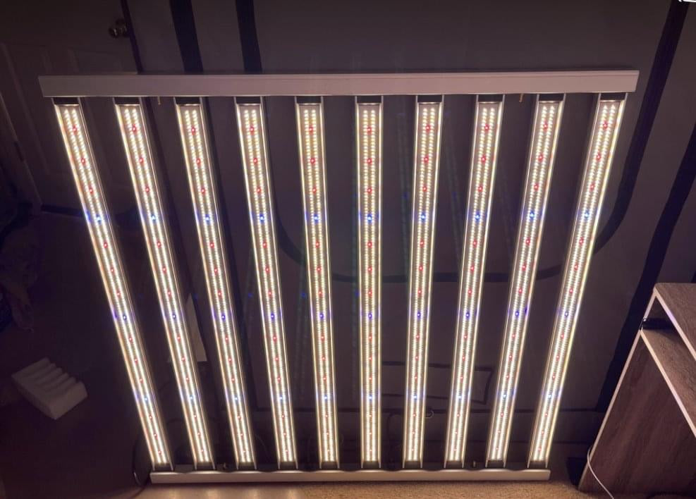 Best 1000W LED Grow Light: Reviews (2021 Update)