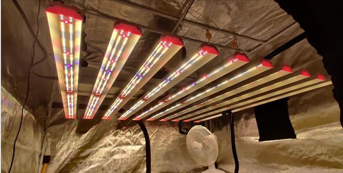 Best Samsung LM301H LED Grow Light For Indoor Plants 2021 Update