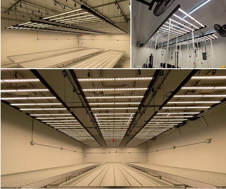 Best Commercial Greenhouse Supplies & Equipment 2021