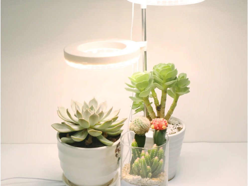 What Size Fan Do I Need For My Grow Tent?