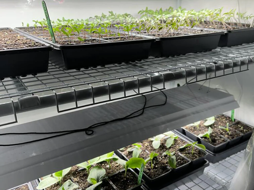 What are the best LED grow lights to use in a grow tent?