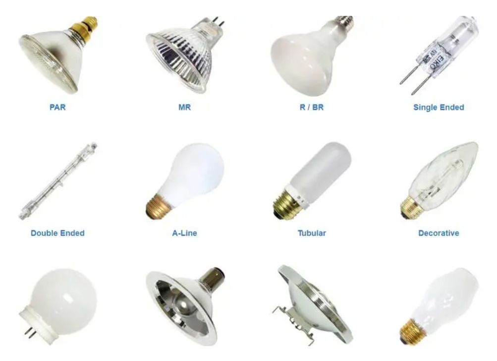 Can a Regular Light Bulb Help Plants Grow?