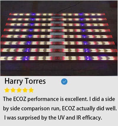 HARRY-TORRES-REVIEWS-ABOUT-ECOZ