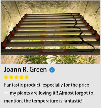 JOANN-R-GREEN-REVIEWS-ABOUT-ECO-FARM