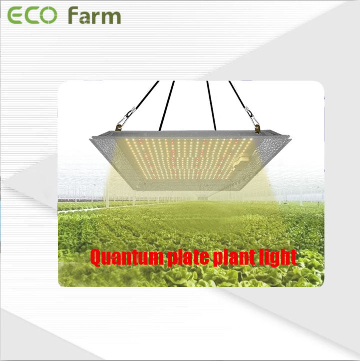 Tissue culture seedling strawberry light 100W quantum plate plant light tomato tomato LED full spectrum succulent light