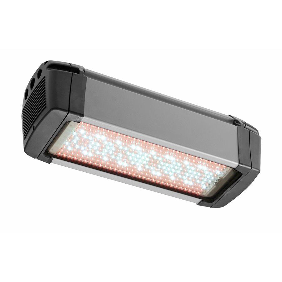 LED Zelion HL300 Grow White