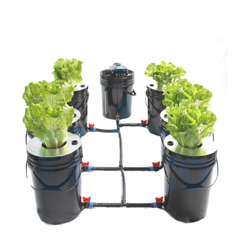 ECO Farm 6 Pots DWC Hydroponics Buckets System