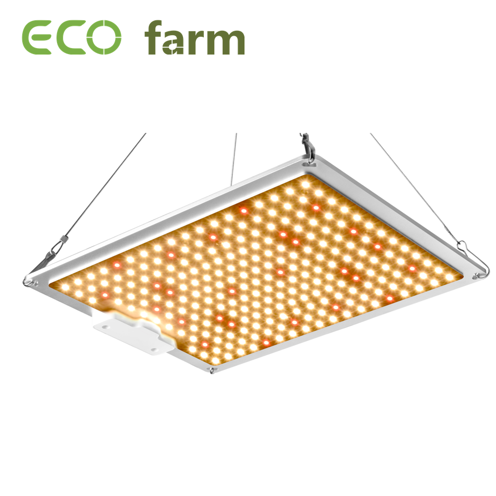 ECO Farm 100/220/450/600W Quantum Board With Samsung LM281B Chips+IR 730nm LED Grow Light