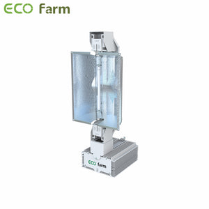 ECO Farm HPS/MH 1000W Double Ended Grow Light Hydroponic Grow Kit-growpackage.com