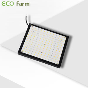 ECO Farm 120W/240W/480W Samsung LM561C Quantum Board-growpackage.com