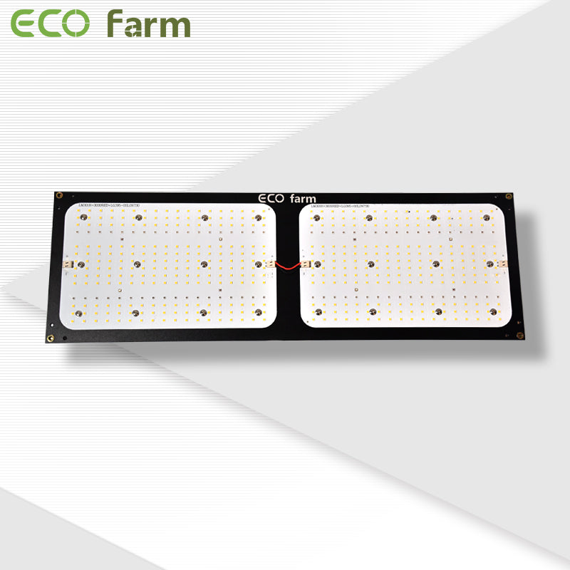 ECO Farm 240W V3 Samsung 301h Quantum Board LED Grow Light-growpackage.com
