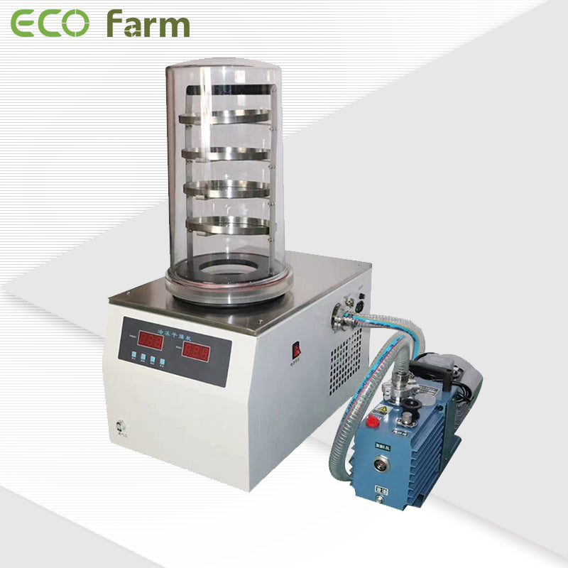 ECO Farm Vacuum Vegetables Lyophilizer Freeze Dryer