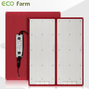 ECO Farm ECOR Samsung LM301H 240W/480W Dimmable Quantum Board with Meanwell Driver