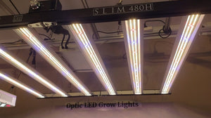 Slim 480H Dimmable LED Grow Light 480w (120 Degree) 3500k
