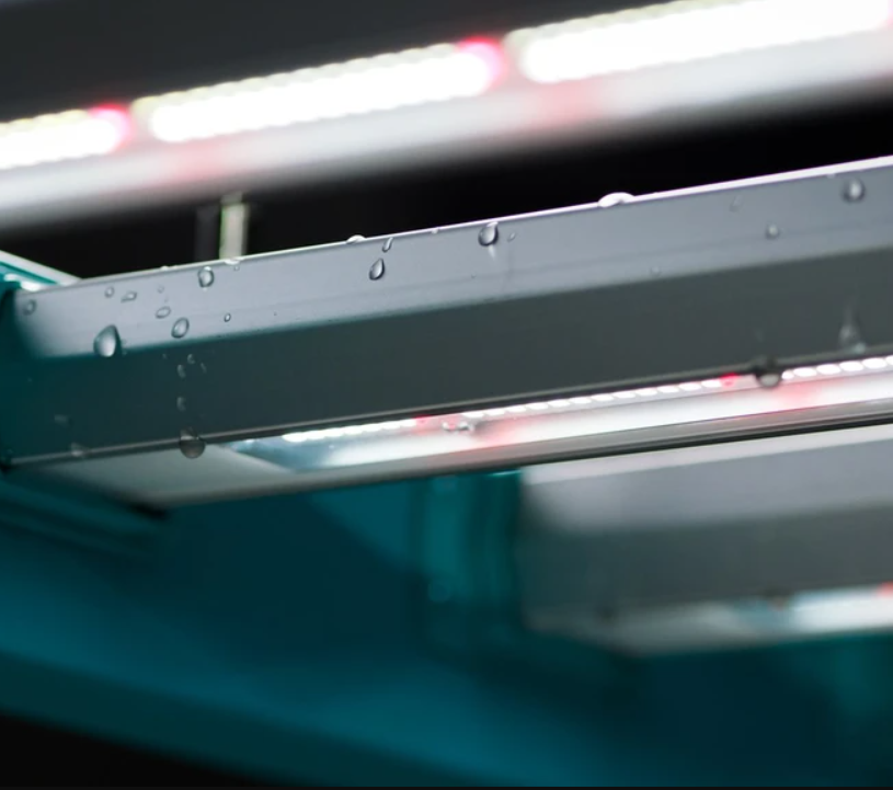 BIOS Icarus LLi 89W Leafy Greens Kit