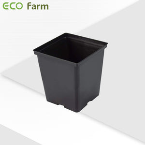 ECO Farm 1 Gallon Square Plastic Pot-growpackage.com