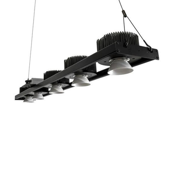 Rapid LED CXB3590 380W 2' X 4' LED Grow Light