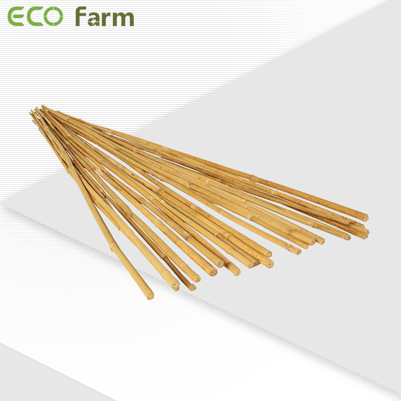 ECO Farm durable Bamboo Stakes-growpackage.com
