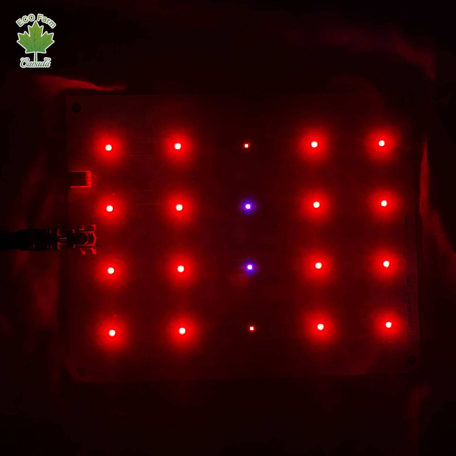 ECO Farm 30W CREE UV & IR Supplemental Lighting Quantum Board-growpackage.com