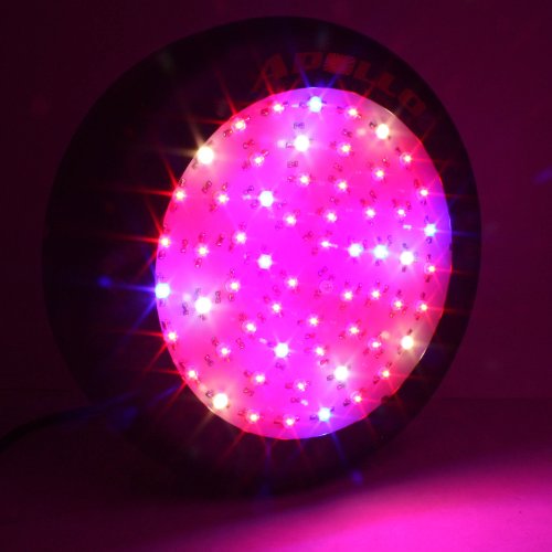 LED Grow Light Spectrum Lamp for Indoor Plants - GrowPackage.com