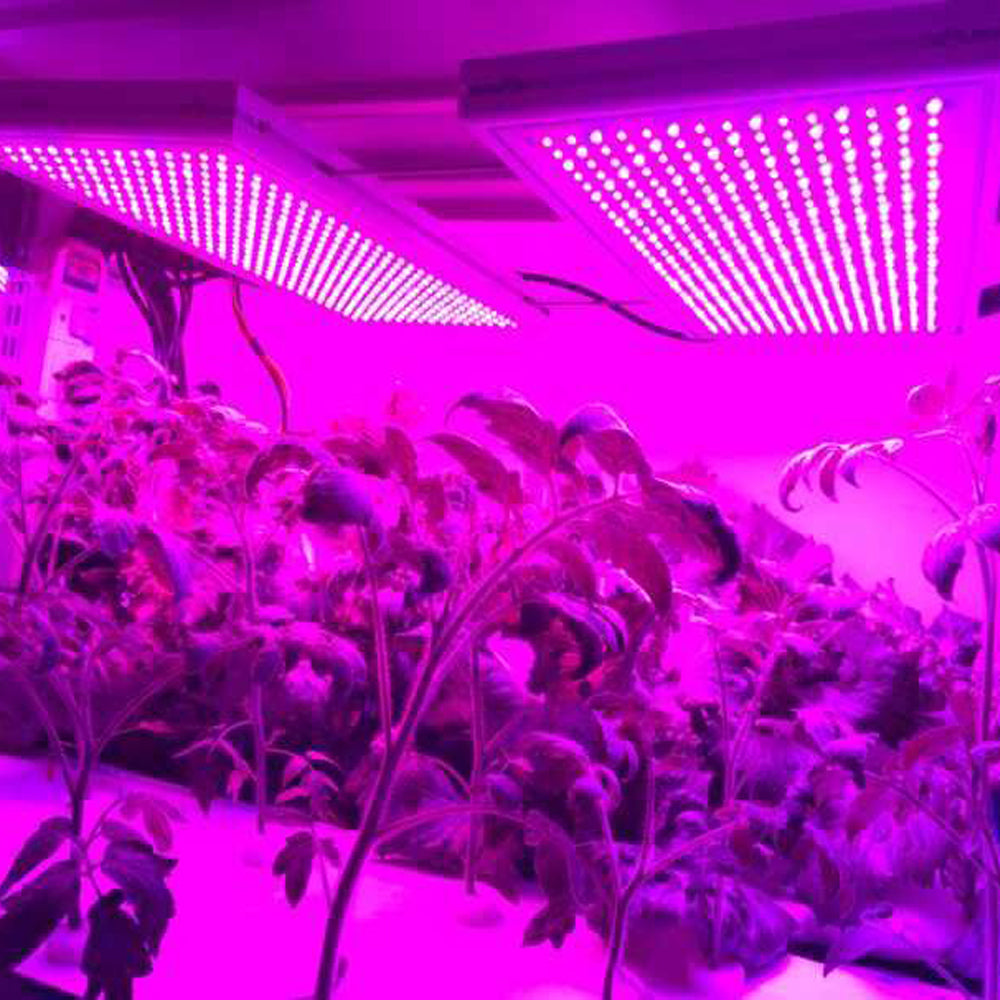ECO Farm 24W/47W LED Grow Light for Seeding-growpackage.com