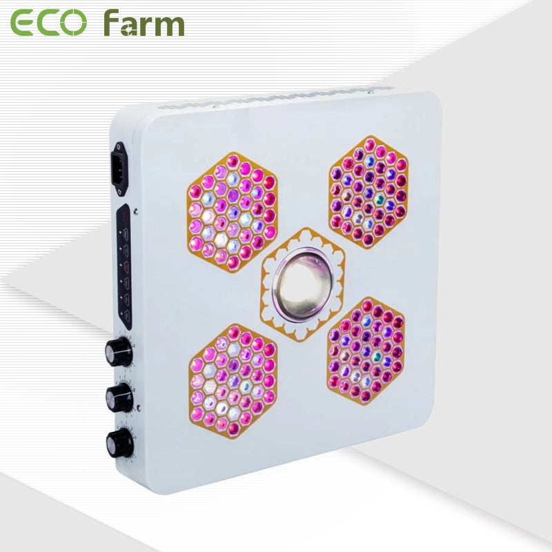 ECO Farm 800W/1200W CREE COB LED Grow Light-growpackage.com