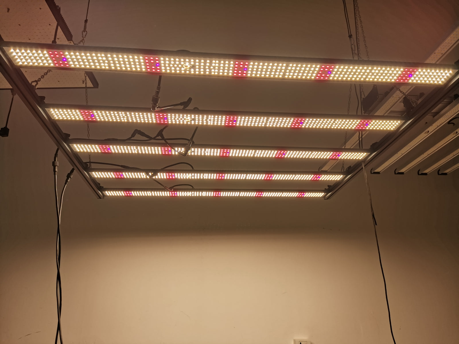 ECO Farm ECOQ 600W Full Spectrum Dimmable LED Grow Light with UV&IR for Greenhouse,Veg Bloom, 5x5ft