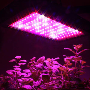 Amico 1200W UV&IR Full Spectrum LED Grow Light