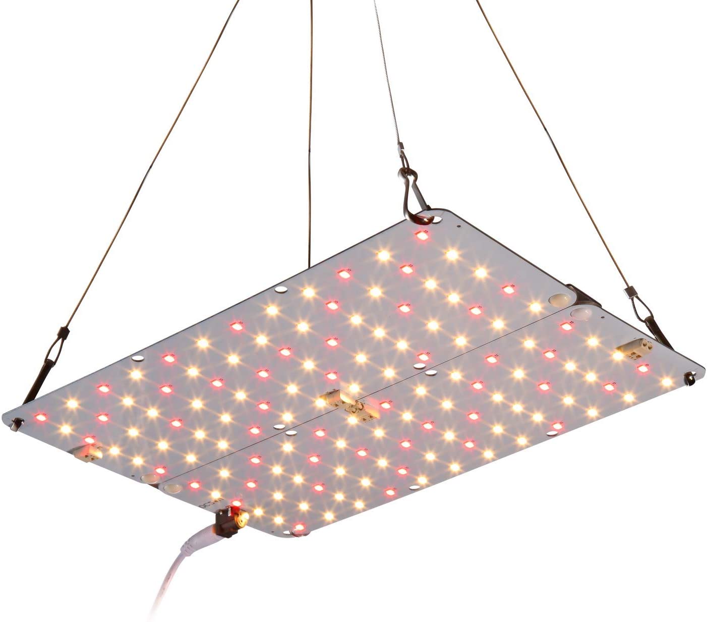 ACKE LED Grow Light for Indoor Plants
