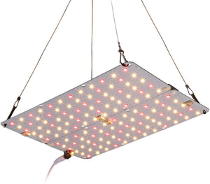ACKE LED Grow Light for Indoor Plants