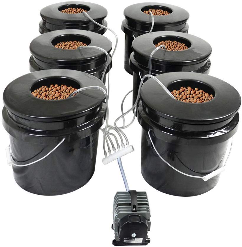 HTG Supply Bubble Brothers 6-Site DWC Hydroponic System