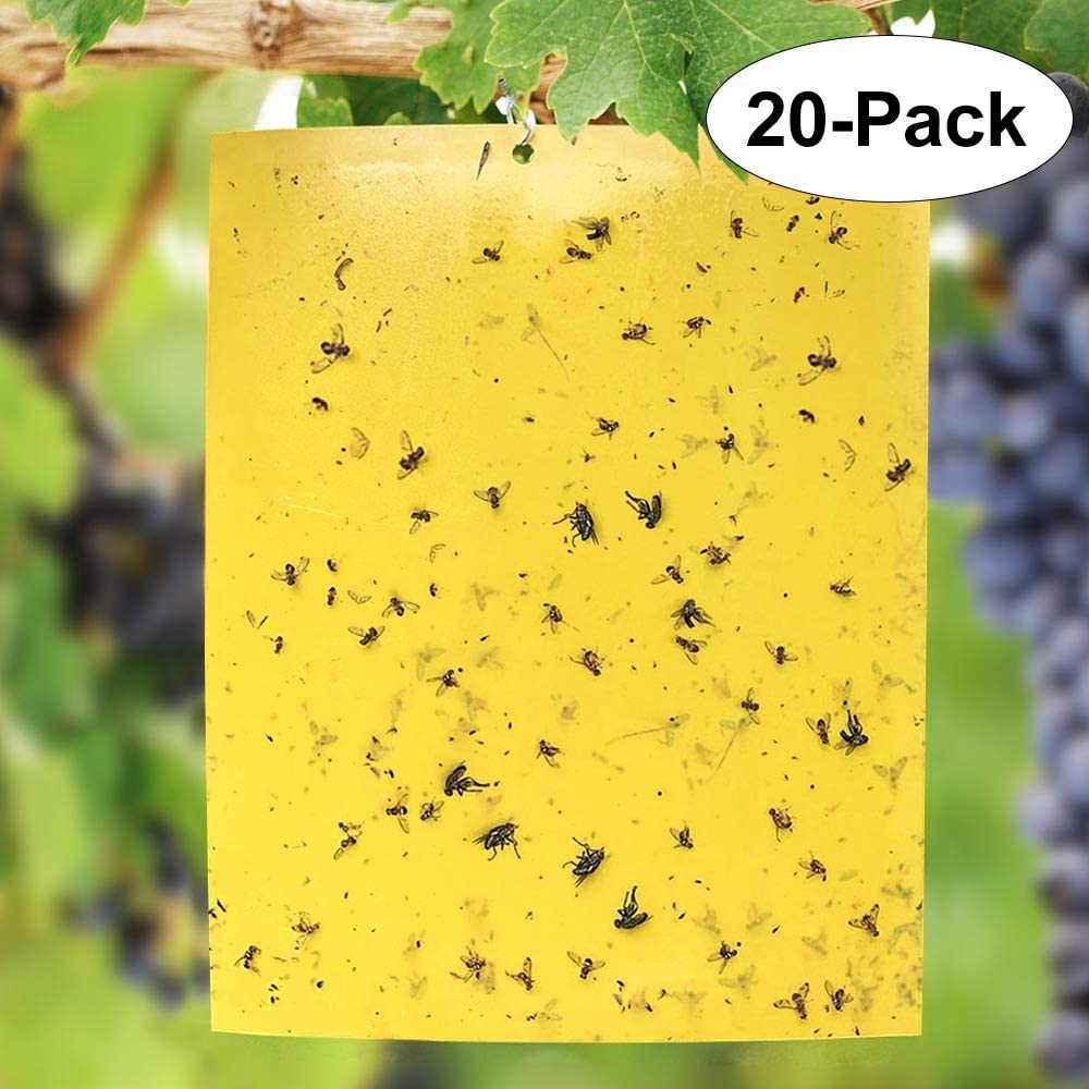 Yellow Sticky Traps (20 Pack), Fruit Fly Trap (Gnat Trap Indoor