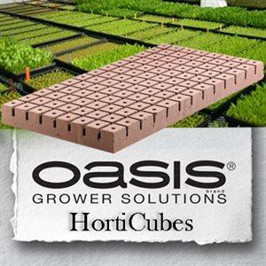 Oasis Horticube 1.25 in Medium Cubes (5240) 104 / Sheet