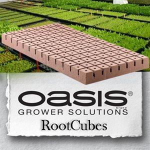 Oasis Horticube and Rootcubes 1.25" in Medium Cubes