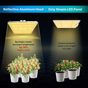 KingLED UL4000 LED Grow Light for 5x5ft Coverage