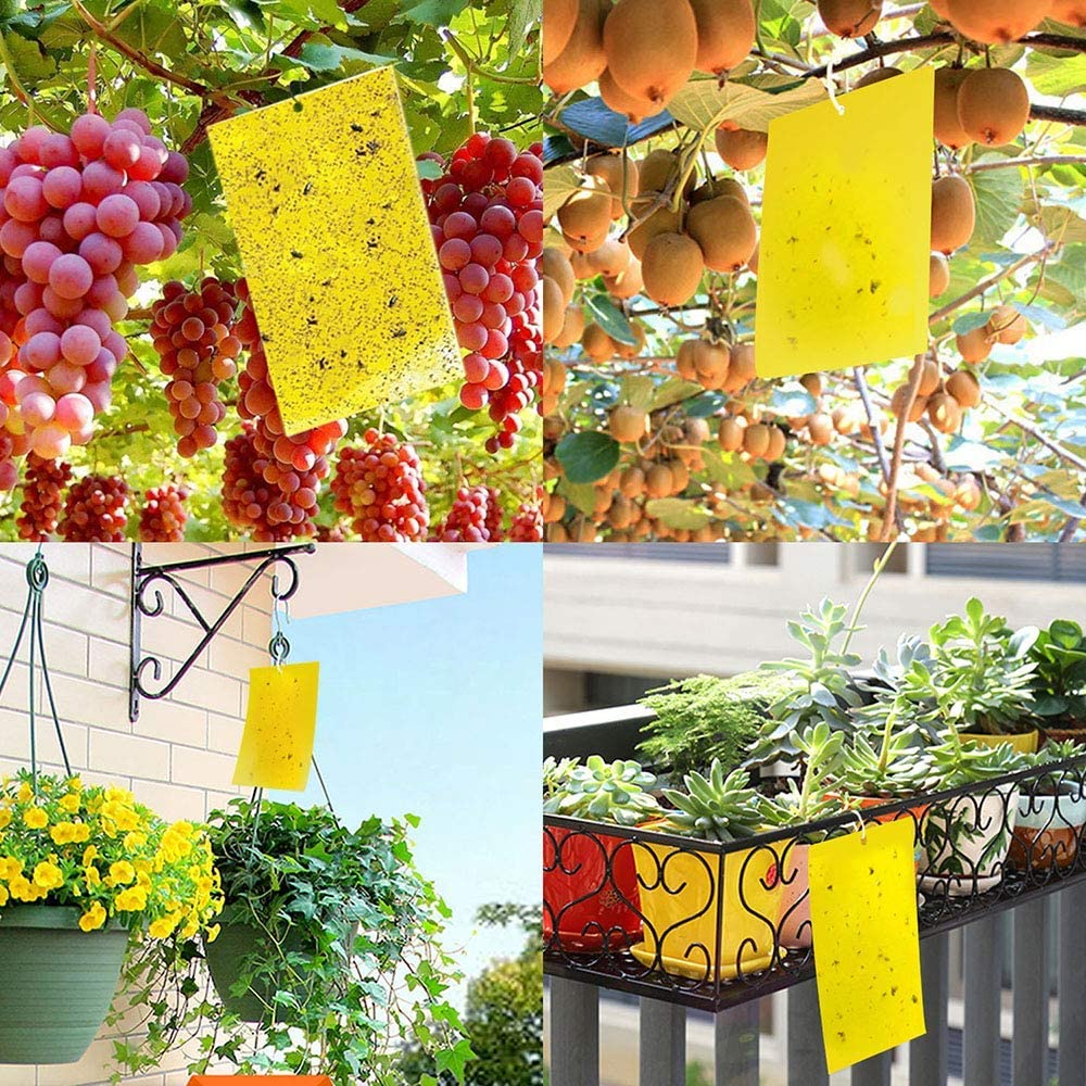 ECO Farm 20-Pack Dual-Sided Yellow Sticky Traps