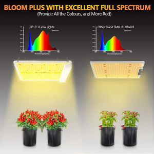Bloom Plus BP1000/BP1500/BP3000 Sunlike Full Spectrum LED Grow Light