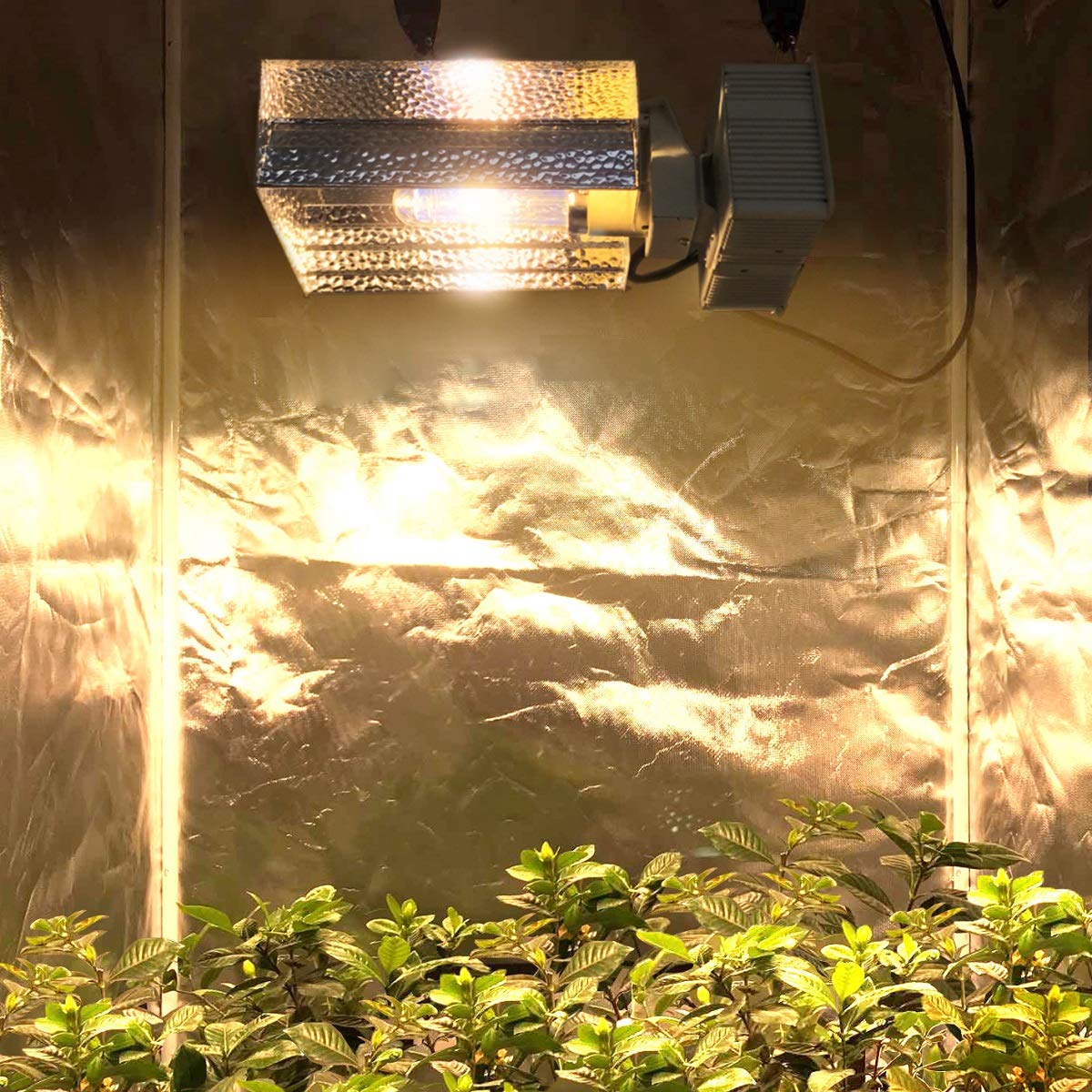 ECO Farm CMH 315W Grow Light Fixture Reflector with Ballast-growpackage.com