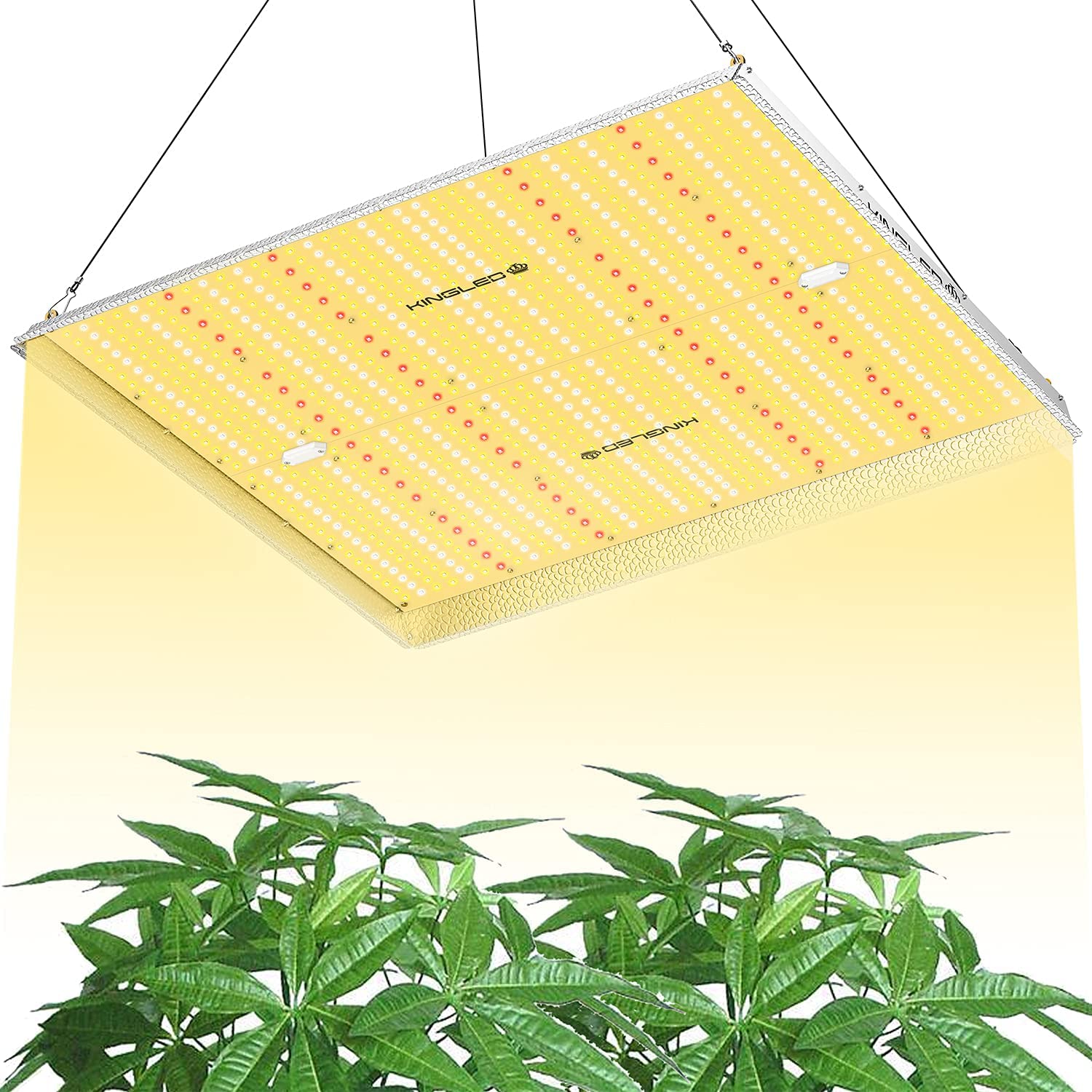 KingLED UL4000 LED Grow Light for 5x5ft Coverage