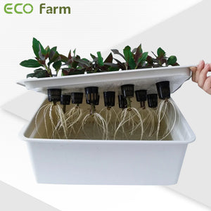 ECO Farm Garden Supplies Hydroponics Growing Net Pot Basin-growpackage.com