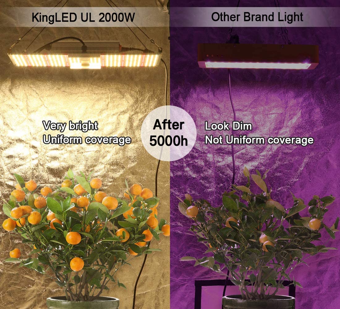 King Plus UL Series 2000W LED Grow Light Full Spectrum Plants Lights for Indoor Veg and Flower Growing Lamp(620 Samsung LED Chips)