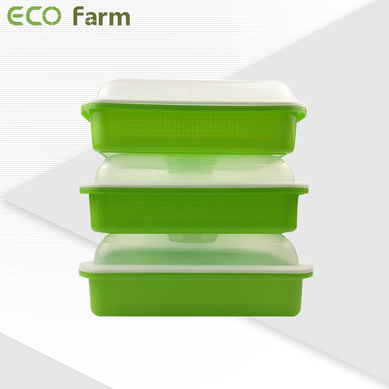ECO Farm Hydroponic nursery tray seedling tray with lid-growpackage.com