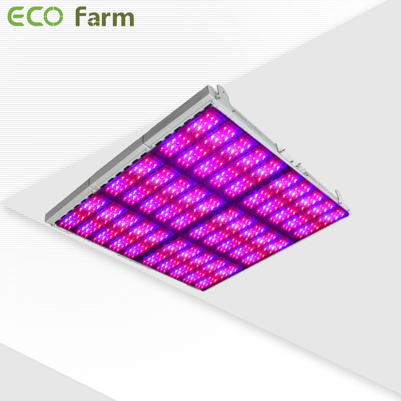 ECO Farm High Power 2000W LED Grow Lights-growpackage.com
