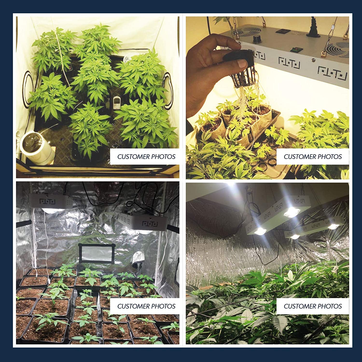 CANAGROW 200W CREE CXB3590 COB LED Grow Light