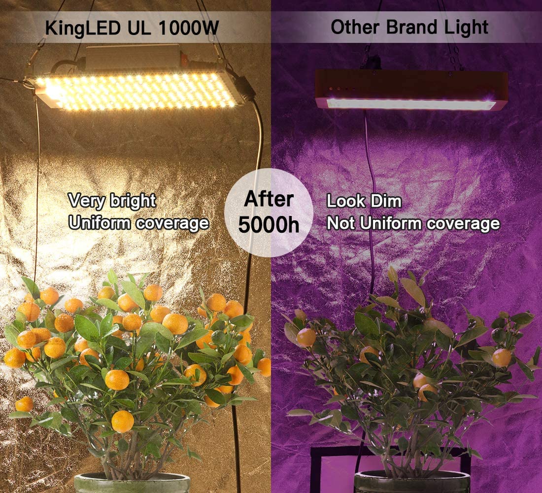 King Plus UL Series 1000W LED Grow Light Full Spectrum Plants Lights for Indoor Veg and Flower Growing Lamp(224 Samsung LED Chips)